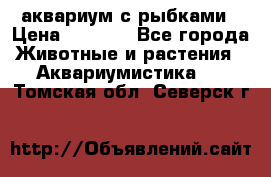 аквариум с рыбками › Цена ­ 1 000 - Все города Животные и растения » Аквариумистика   . Томская обл.,Северск г.
